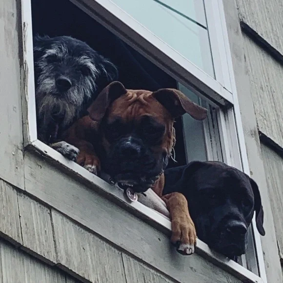 Meet Your Posher - Picture 2 of 3